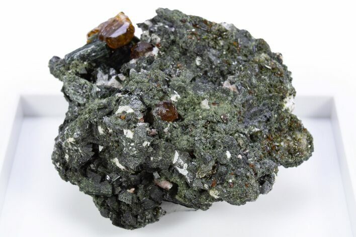 Lustrous Andradite (Topazolite) Garnets in Actinolite - Iran #305429